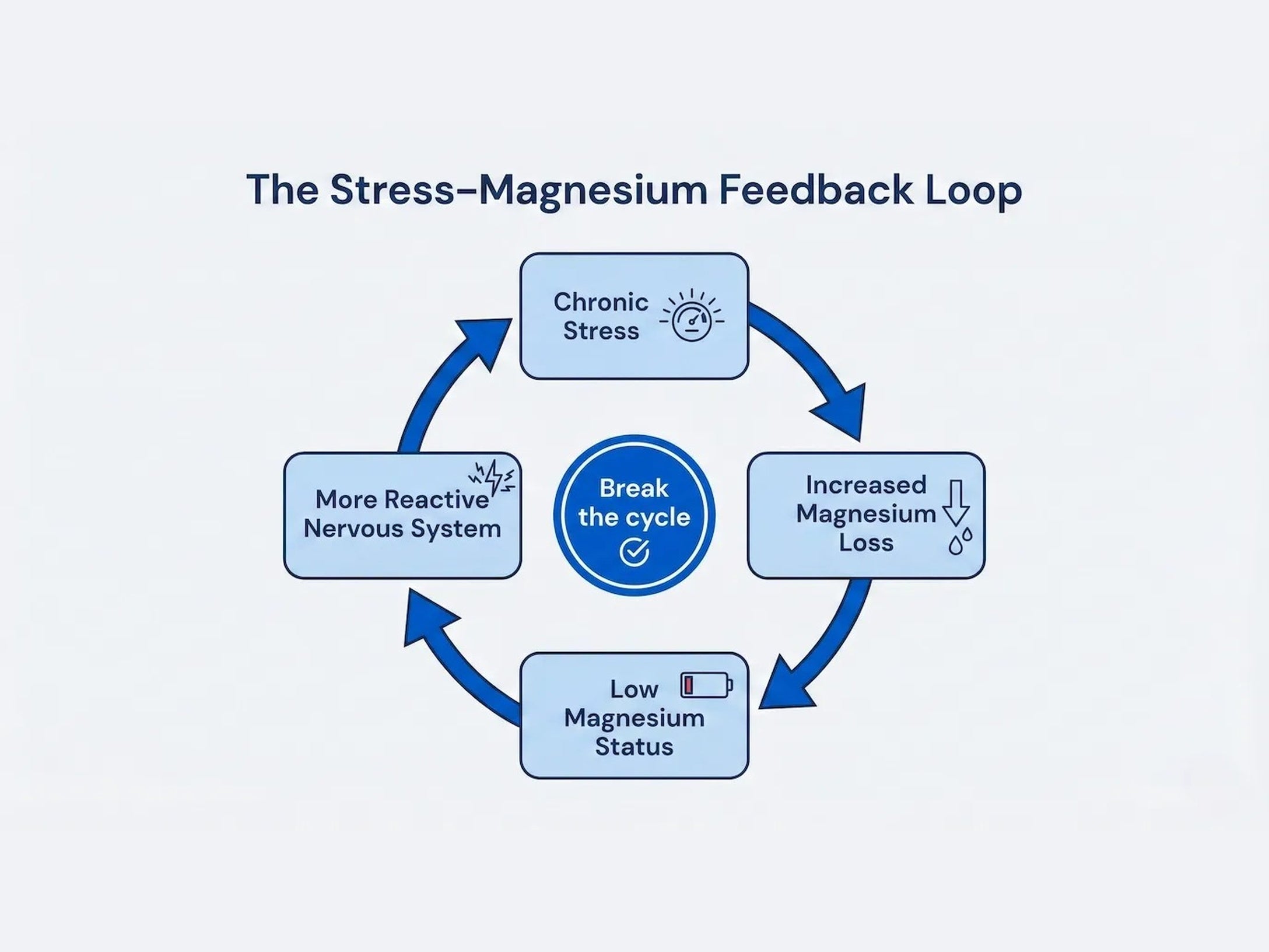 Diagram showing the cortisol–magnesium depletion loop: stress, magnesium depletion, wired exhaustion, and a continued stress response.